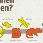 Wie alt können Tiere werden? – Bild 3